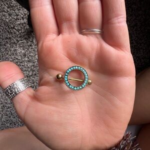 Various nipple rings